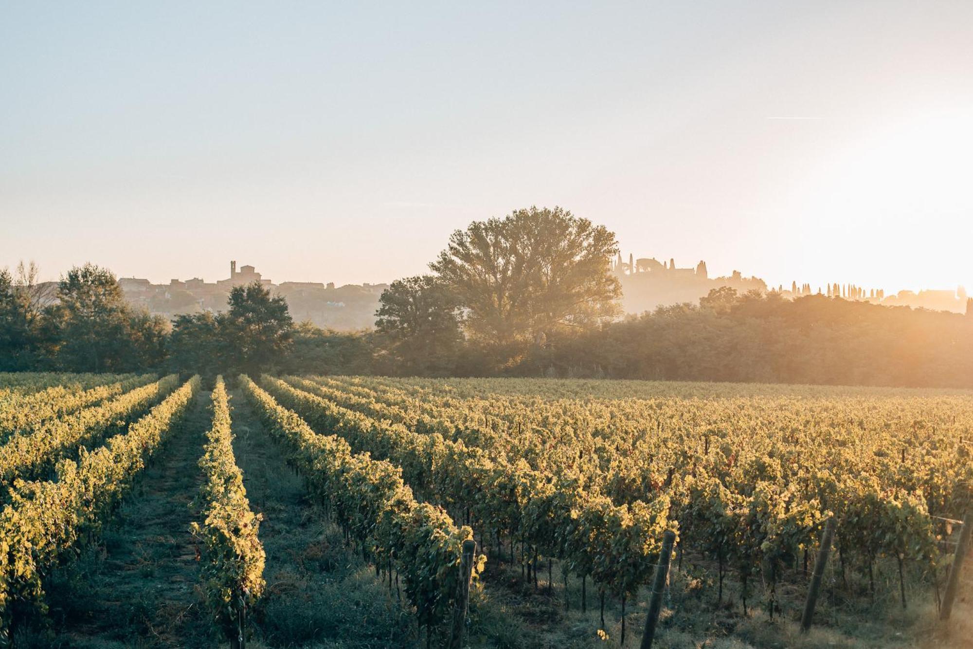Borgo San Vincenzo 호텔 Montepulciano Stazione 외부 사진